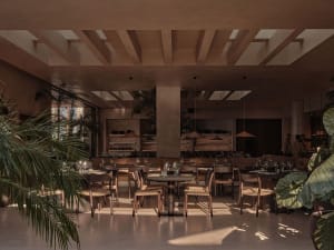 A modern restaurant dining room with wooden tables, glass pendant lights, and green plants.