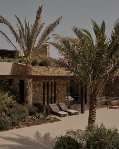 Modern residential exterior featuring a poolside lounge area with stone and concrete materials, decorated with palm trees.