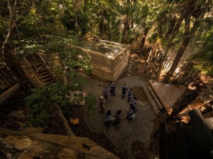 A wooden space with people outdoors surrounded by trees.