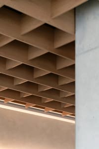 Detailed view of a modern wooden ceiling featuring an organic geometric pattern, showcasing natural wood grains and a contemp