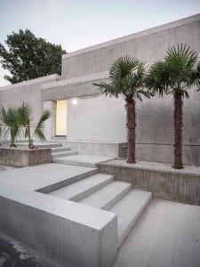 Concrete stairs and palm trees in a minimalist urban residential exterior.
