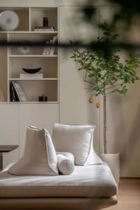 A modern living room with light-colored furniture and a potted plant.
