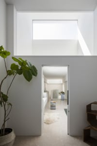 Modern minimalist living room with concrete walls and floor, large window, and plant.