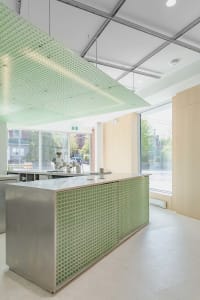 Cozy kitchen with green walls, a countertop, and dining table, surrounded by chairs and potted plants, with various kitchen items and utensils visible