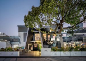 A modern building with a black facade and white accents, surrounded by a natural environment with a large tree and outdoor seating areas