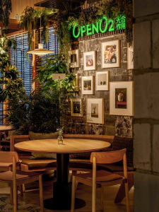 A restaurant with wooden tables and chairs, potted plants, and a variety of seating options, creating a welcoming atmosphere
