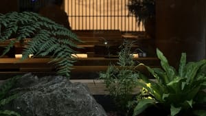 A wooden table surrounded by three potted plants in a calm and inviting indoor space