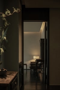 A cozy living space with a seating area, a couch, two chairs, a TV, and a potted plant, creating a warm and inviting atmosphere