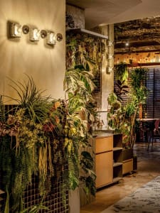 A warm and inviting cafe with potted plants, wooden furniture, and decorative vases, perfect for a relaxing dining experience
