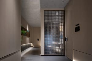 A modern hallway with concrete walls, a glass door, and two potted plants adding greenery to the space