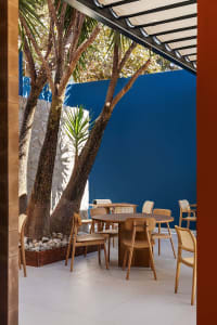 A dining area with a large wooden table and multiple chairs, surrounded by a blue wall in a neutral setting