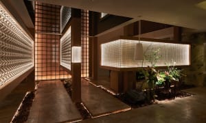 Elegant indoor space with a dining table, chairs, potted plants, and a vase, creating a comfortable and inviting atmosphere