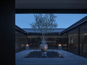A modern living space with a large tree in a vase on a stone floor, surrounded by chairs and potted plants, with a stylish ambiance created by artificial lighting