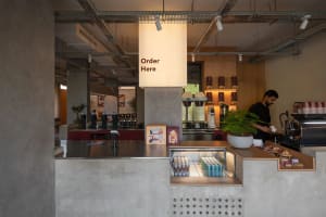 A casual restaurant counter with a cash register, cups, bottles, and potted plants, creating a welcoming atmosphere for customers