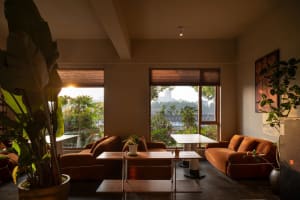 A warm and inviting living area with a large window, two couches, a dining table, chairs, and potted plants