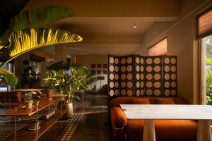Inviting living space with two couches, chairs, potted plants, and orange accents in a well-lit room