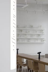 A coffee shop showroom with white walls, multiple tables, chairs, and decorative vases, creating a cozy atmosphere