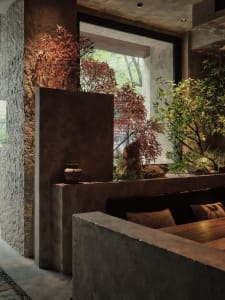 Cozy living space with a dining table surrounded by chairs, two couches, and potted plants