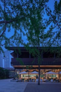 A wooden building at night with a large tree in front, surrounded by umbrellas, creating a relaxing atmosphere