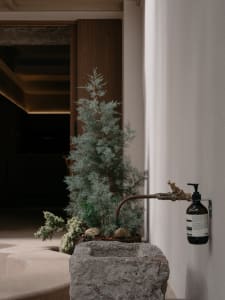 Cozy living space with potted plants, a bottle, and a warm atmosphere