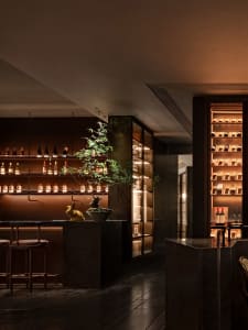 A cozy bar area with a wooden counter, stools, and potted plants, surrounded by bottles and perfect for socializing
