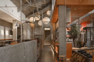 Industrial kitchen with concrete walls and floors, featuring a dining table, appliances, and potted plants, with multiple overhead lights providing illumination