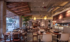 A cozy restaurant interior with a large dining area, potted plants, and comfortable seating