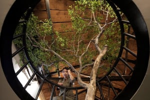 A woman sits on a staircase in front of a large artificial tree, looking off-camera in a calm and contemplative environment