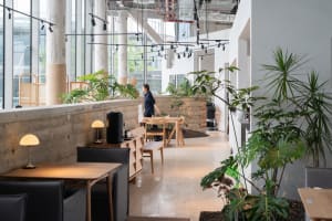 Inviting open space with high ceilings, multiple plants, potted trees, and comfortable seating areas