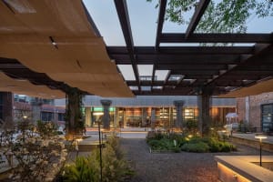 A well-lit office space with multiple rooms and areas, featuring potted plants and chairs, conveying a sense of spaciousness and functionality
