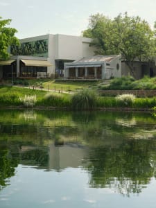 A restaurant with a patio area featuring dining tables, chairs, and umbrellas, situated next to a body of water