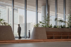 A modern lobby with large windows, benches, and a potted plant, flooded with natural light