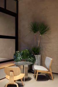 Cozy living space with a dining table, chairs, potted plants, and a couch, featuring a warm and inviting ambiance