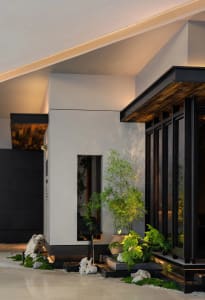 A modern house entrance with a black doorway and two potted plants, one with green leaves and the other with yellow leaves, set against a white wall in a well-lit scene
