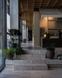 A calm and inviting indoor space with a staircase, potted plants, and vases, featuring natural elements and a warm atmosphere
