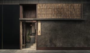 A dark interior with a wooden doorway flanked by two potted plants, inviting viewers inside with an air of mystery and intrigue