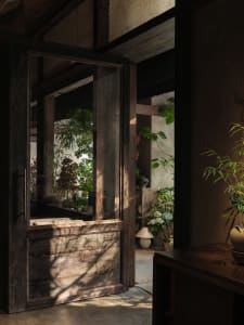 A welcoming entrance with lush greenery and potted plants surrounding the doorway, creating a cozy atmosphere