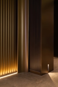 A dark hallway with two large wooden doors featuring gold accents, creating a sense of luxury and sophistication