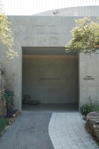 A modern indoor space with a concrete wall, a doorway, and two potted green plants