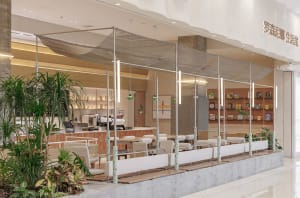 A restaurant interior with multiple chairs and tables, potted plants, and an inviting atmosphere