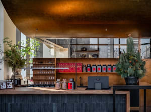 A restaurant counter with various items on display, surrounded by potted plants and an inviting atmosphere