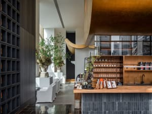 A modern restaurant interior with a counter featuring wine glasses, cups, and vases, surrounded by chairs and potted plants