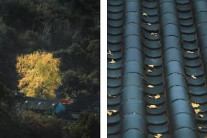 Aerial view of a house with a metal roof, surrounded by trees, suggesting a cozy living environment