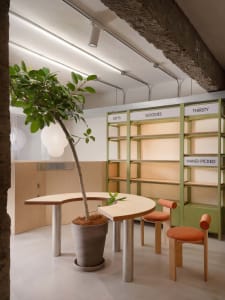 Bright and inviting office space with a wooden table, three chairs, and a potted plant, surrounded by natural light