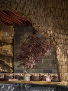 A dining area with a large red-leaved tree in the center, surrounded by chairs and a table with multiple bowls