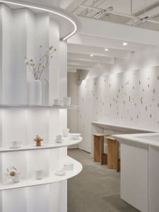 A well-lit kitchen showroom with white surfaces, a sink, countertop, and decorative items such as cups, bowls, vases, and potted plants