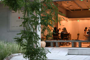 Casual dining area with people seated at a table, surrounded by chairs and potted plants, with cups on the table suggesting a meal and drinks