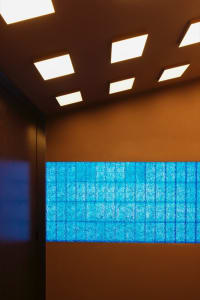Modern bathroom with a large blue tile accent wall, clean lines, and minimalistic design elements, well lit with natural and artificial light