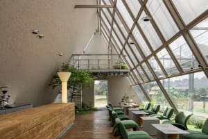 Open living area with natural light from a skylight, chairs, dining tables, a potted plant, and decorative vase