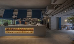 Modern restaurant kitchen with a large countertop island, chairs, bottles, and a potted plant